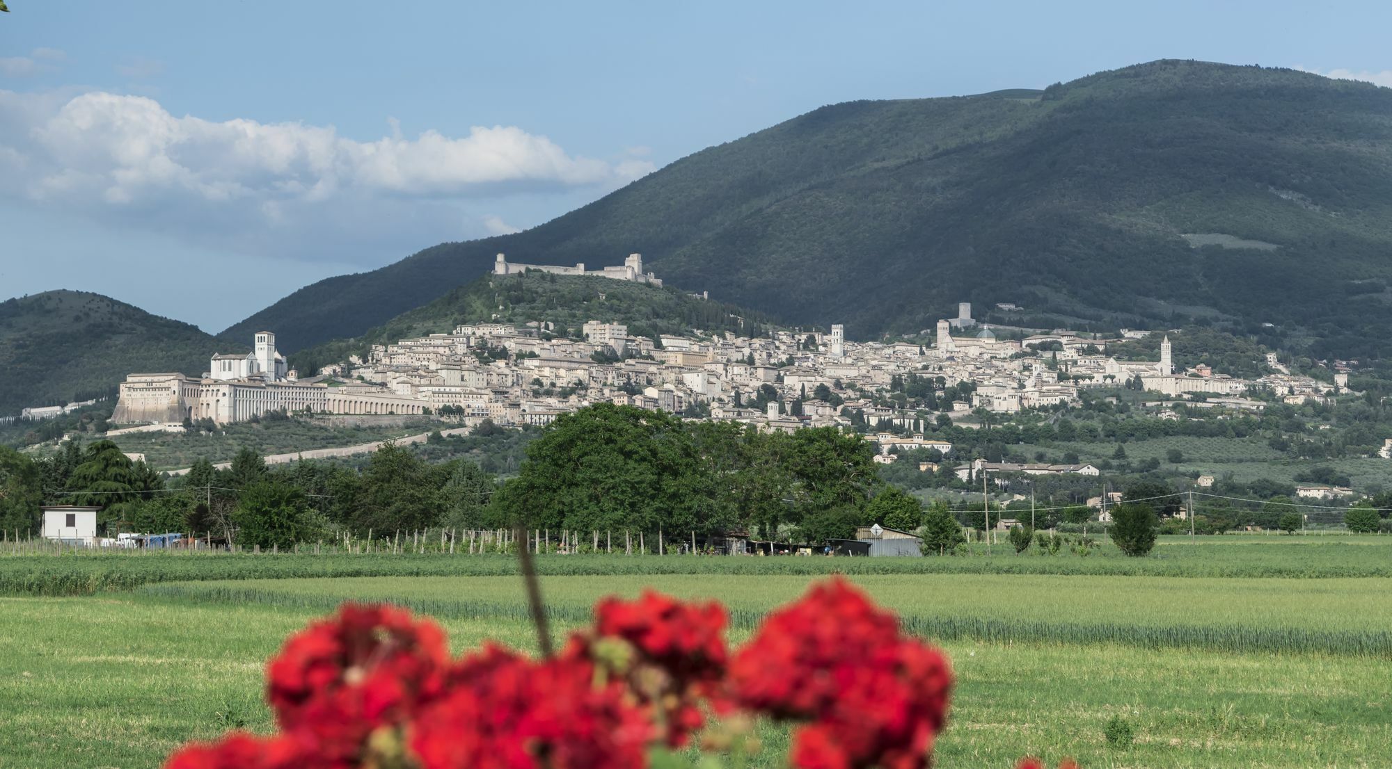 Camere Mariella Assisi Eksteriør billede
