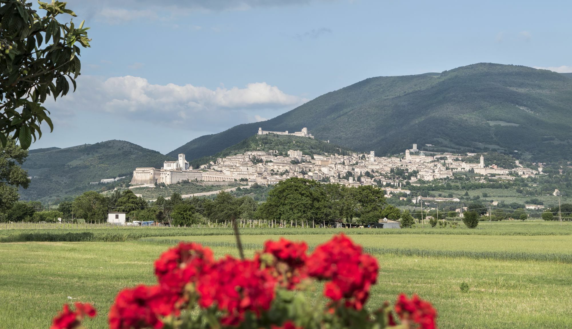Camere Mariella Assisi Eksteriør billede